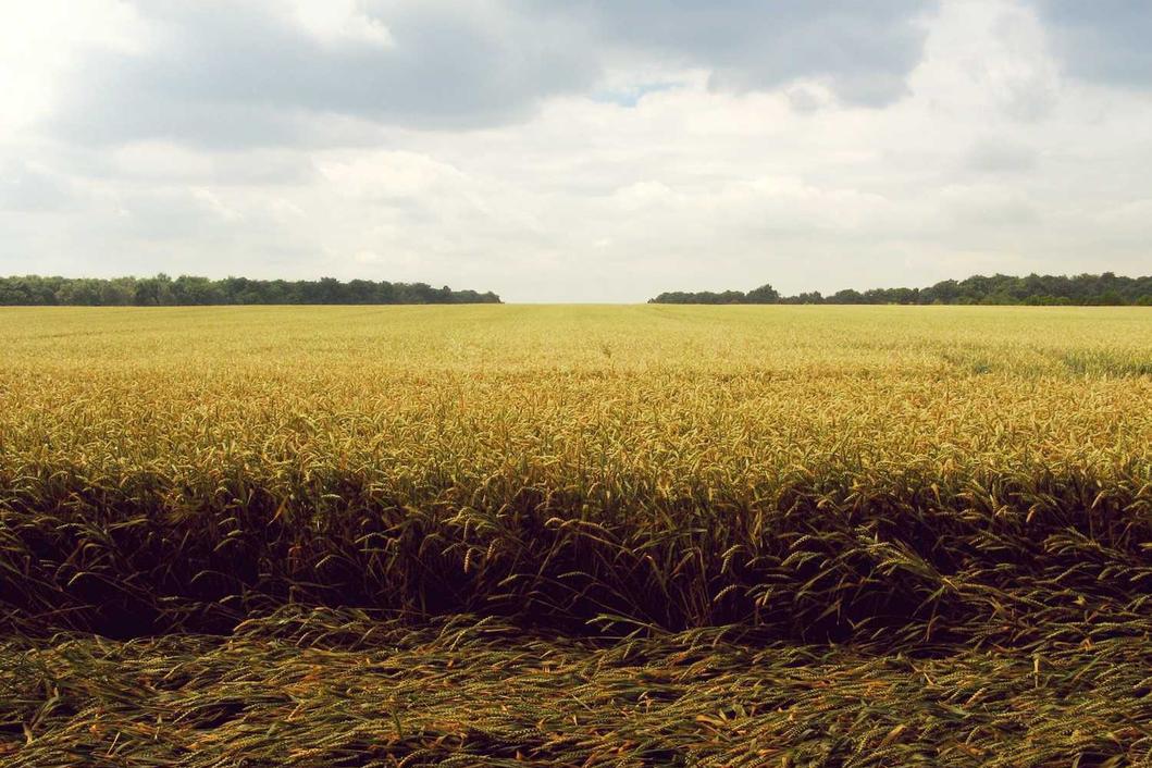 Magni omnis quis sint minima